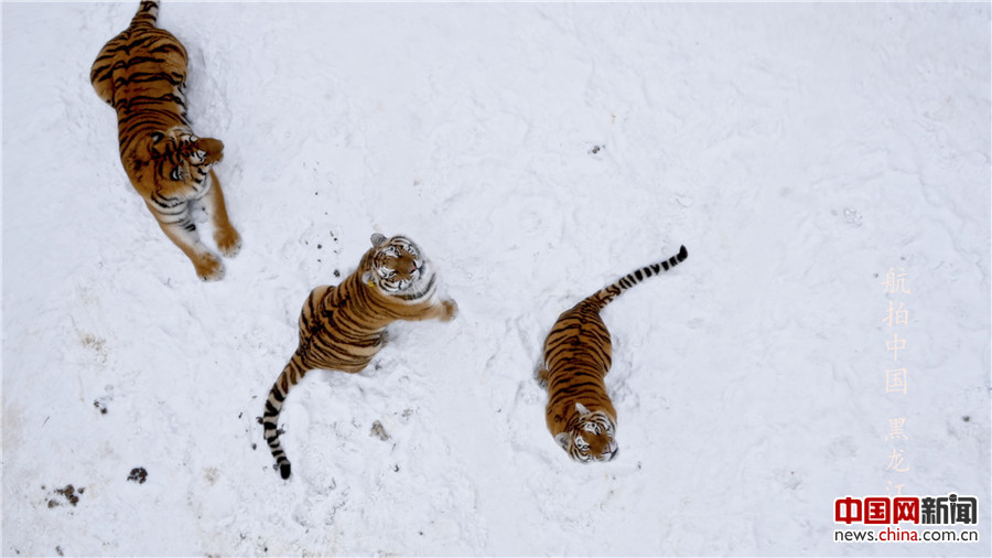 央视《航拍中国》:以前所未有的视角看中国