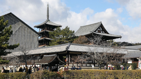 廖雪晴