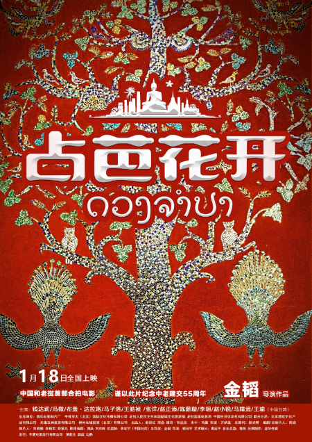 图片1
