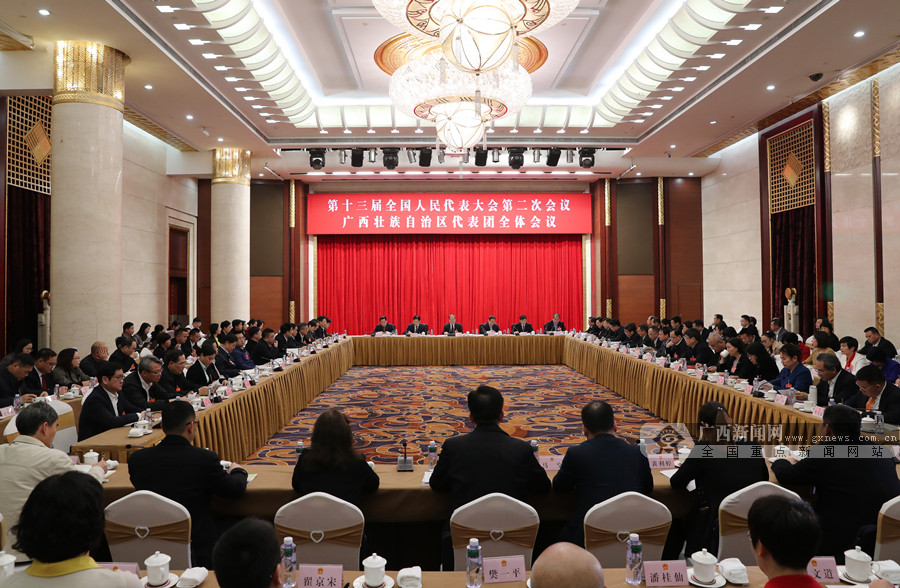 十三届全国人大二次会议广西代表团举行第一次全体会议