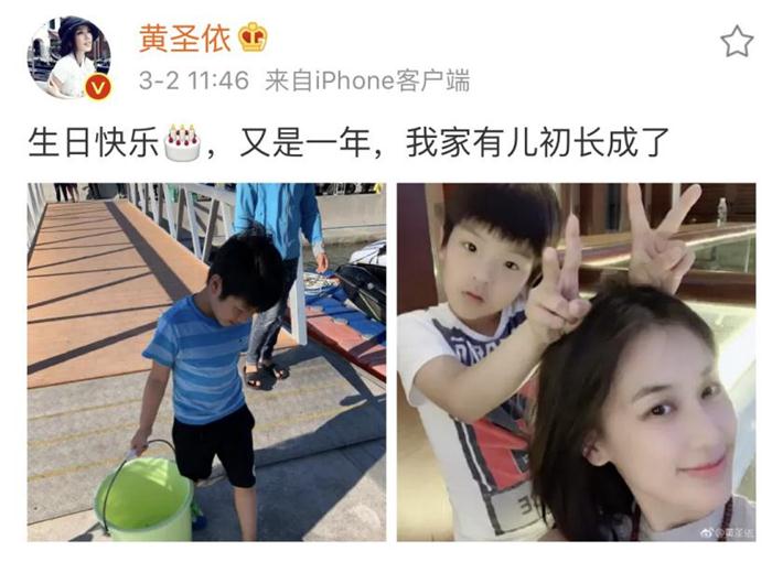 杨家兄弟初长成！黄圣依儿子安迪安麟同框萌翻网友