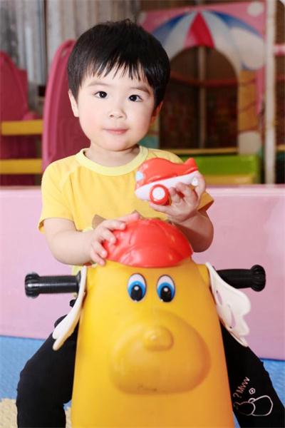 杨家兄弟初长成！黄圣依儿子安迪安麟同框萌翻网友