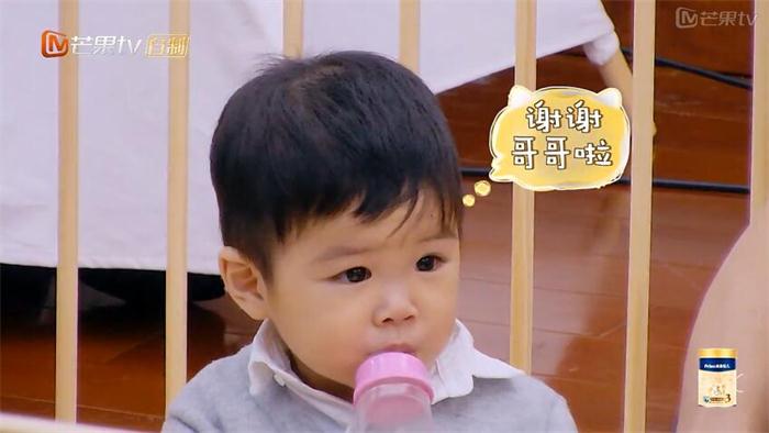 杨家兄弟初长成！黄圣依儿子安迪安麟同框萌翻网友