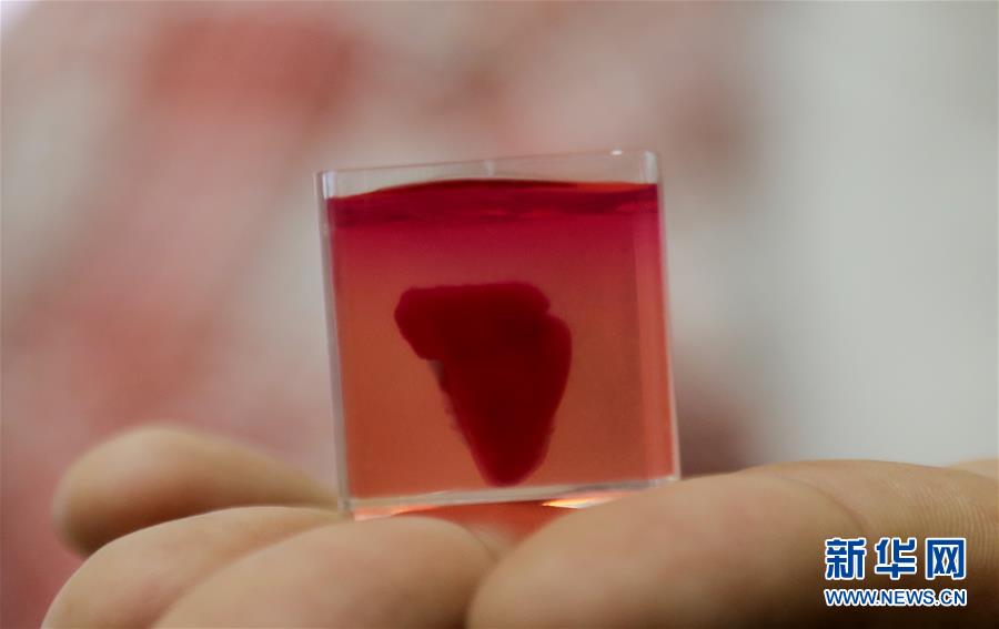 （国际）（5）以色列研究人员称3D打印出全球首颗“完整”心脏
