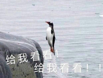 开心麻花2019年度大戏《竞演州长》：开启暑期爆笑新巅峰！