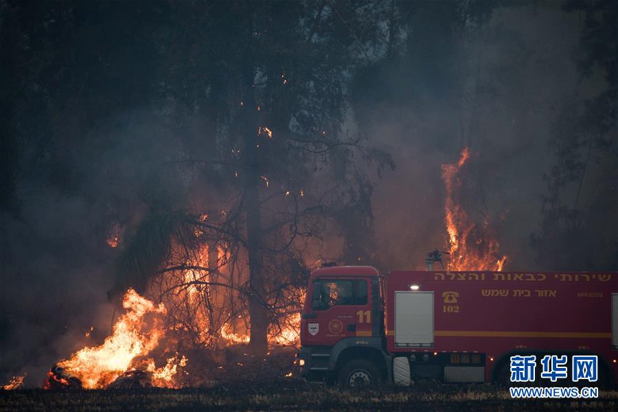 （国际）（7）以色列一天20多起火灾 紧急寻求国际协助