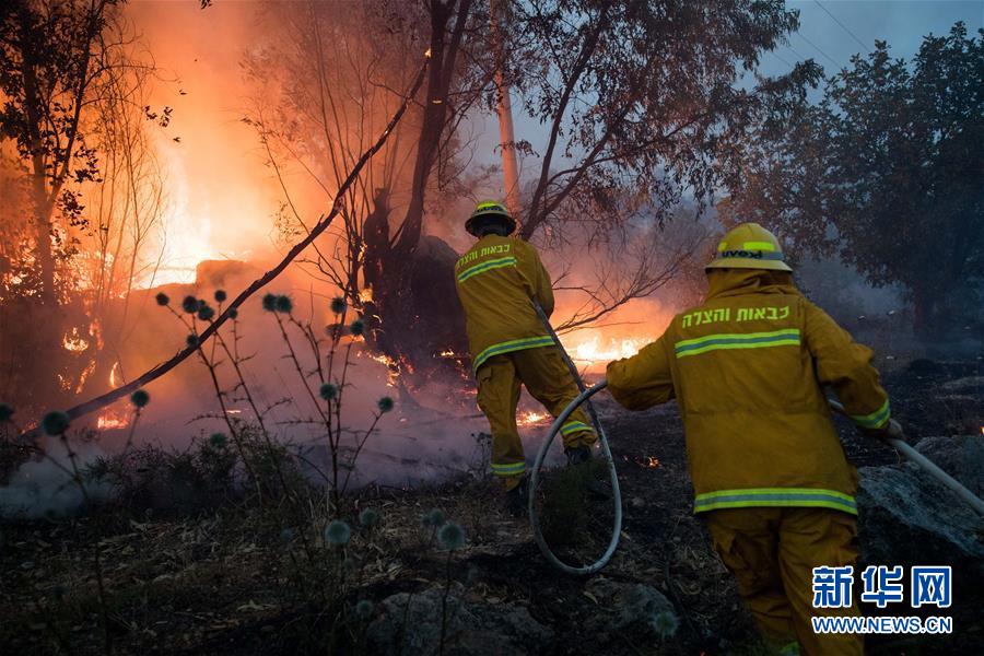 （国际）（8）以色列一天20多起火灾 紧急寻求国际协助