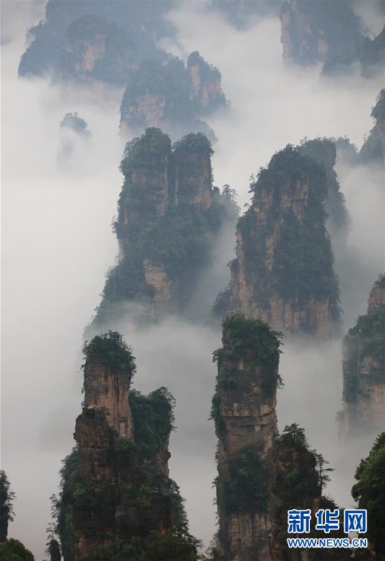 #（美丽中国）（6）张家界云海