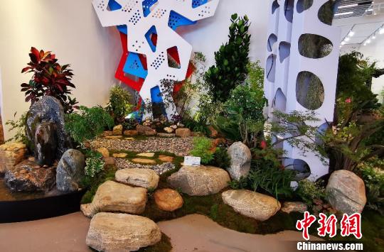 北京世园会组合盆栽国际竞赛展示亮相国际馆