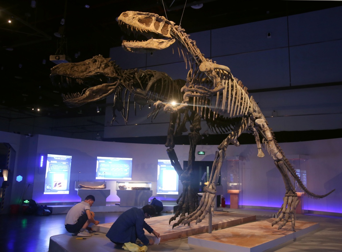 群龙出没恐龙时代大穿越展览在广东省博物馆开幕