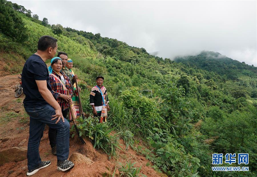 （環(huán)境）（2）20余載植樹造林 萬畝荒山成森林