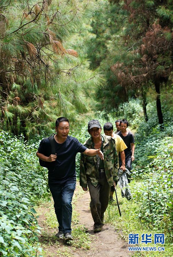 （環(huán)境）（3）20余載植樹(shù)造林 萬(wàn)畝荒山成森林