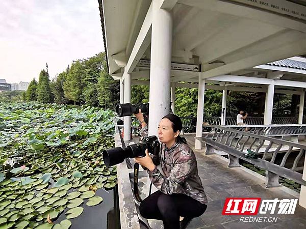 壮丽70年·奋斗新时代丨湘潭城市环境有多美？这些鸟儿告诉你