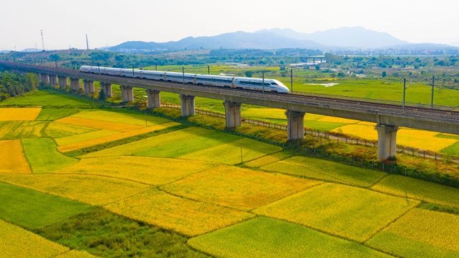 建成惠及十几亿人口_21世纪头20年的目标 全面建设惠及十几亿人口的更高水平