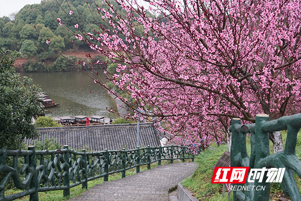 醴陵：望得见山水 留得住乡愁