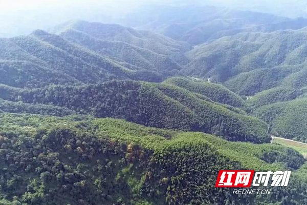 醴陵：望得见山水 留得住乡愁