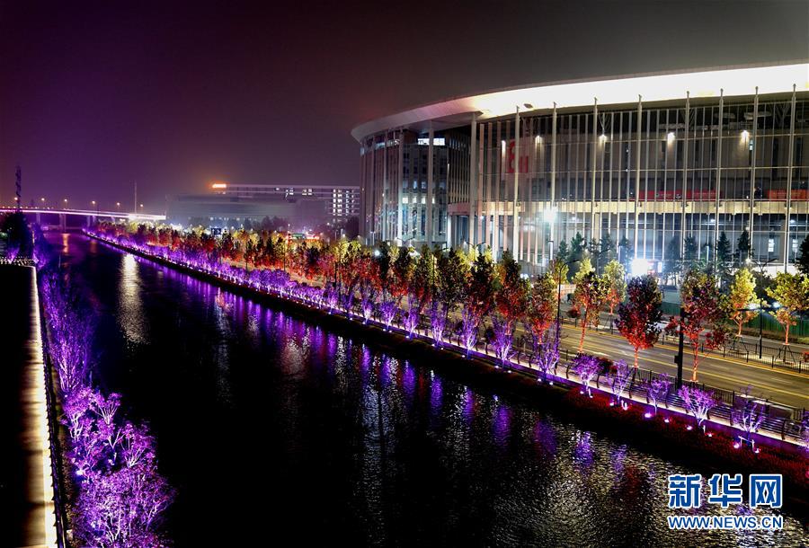 （社会）（8）上海：流光溢彩迎接第二届进博会