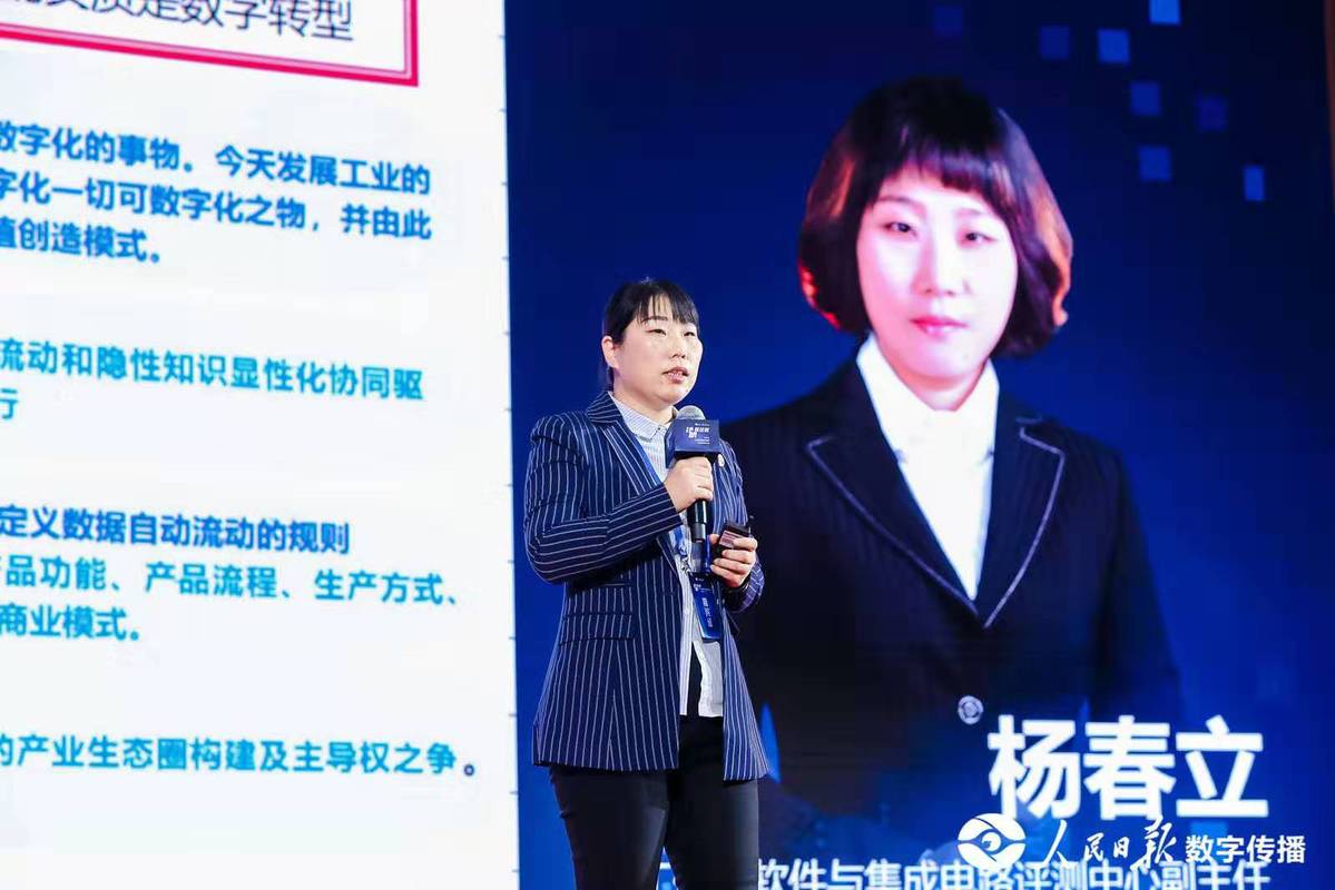 工信部软件与集成电路评测中心副主任杨春立.