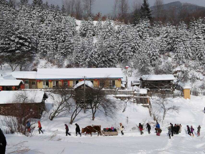 吉林首家中医艾草山村艺术民宿落户临江松岭雪村