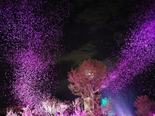 美丽中国 潇湘华章丨常德桃花源：心之所向 梦之彼方