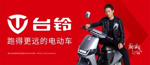 2019电动车排行榜_2019年全球电动汽车销量排行
