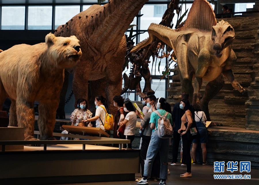 （社会）（4）上海：自然博物馆迎来“暑期档”
