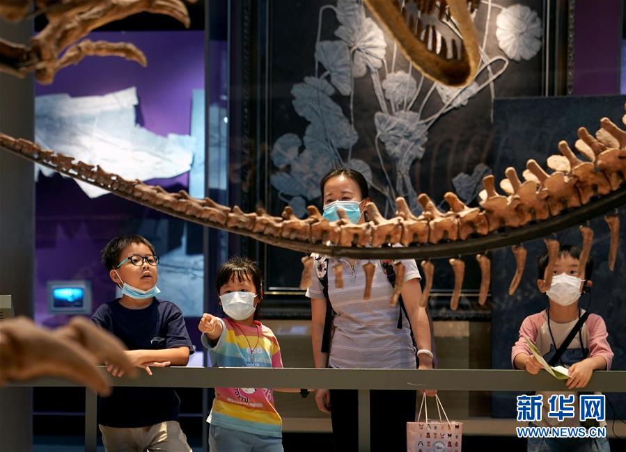 （社会）（5）上海：自然博物馆迎来“暑期档”