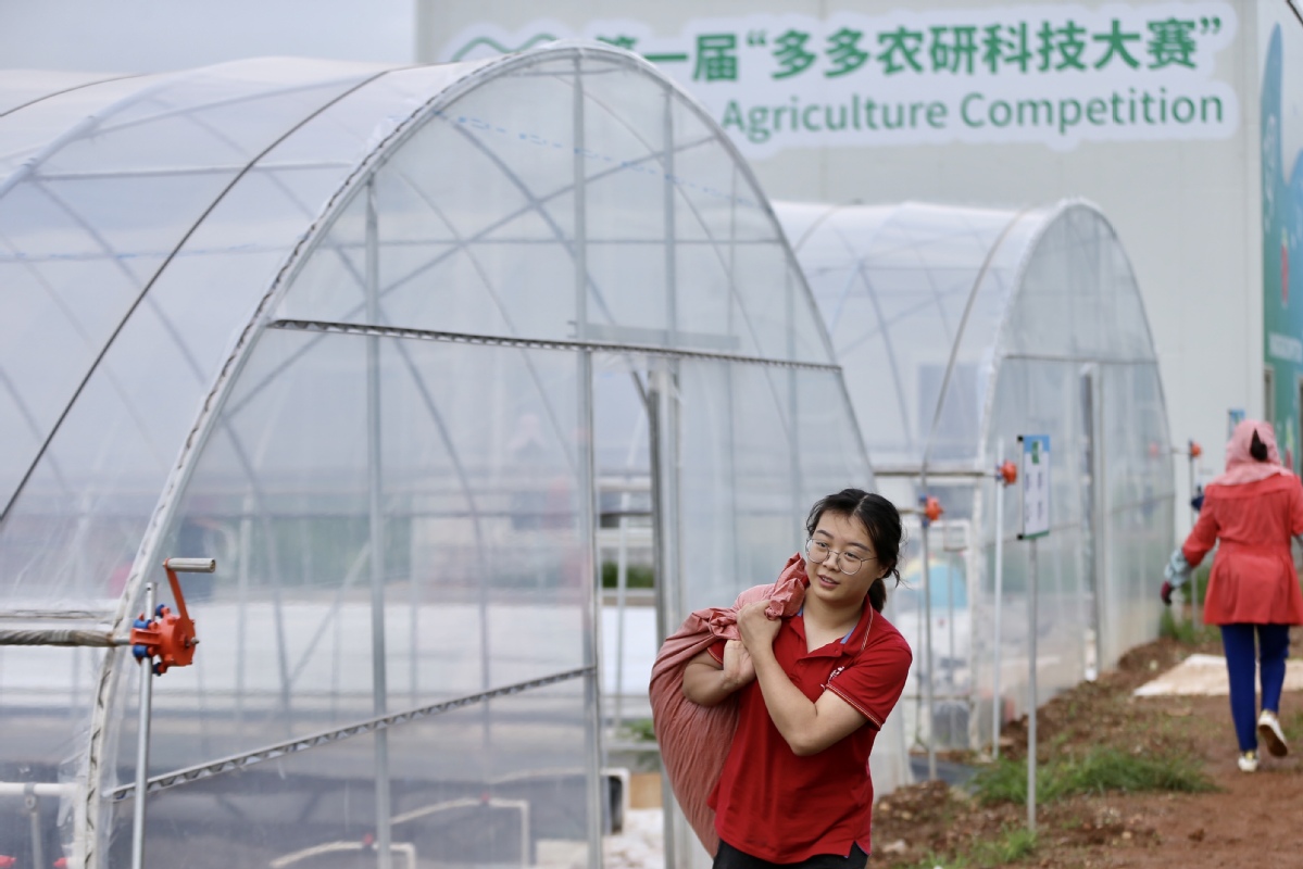 54位青年科学家、顶尖农人等齐聚中国云南，农业“人机”对战正式开赛