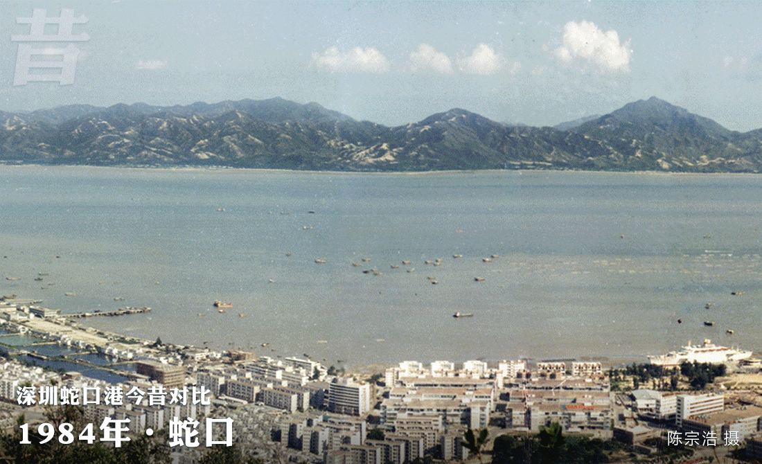 乘风破浪40载！鹏城“圳”当年
