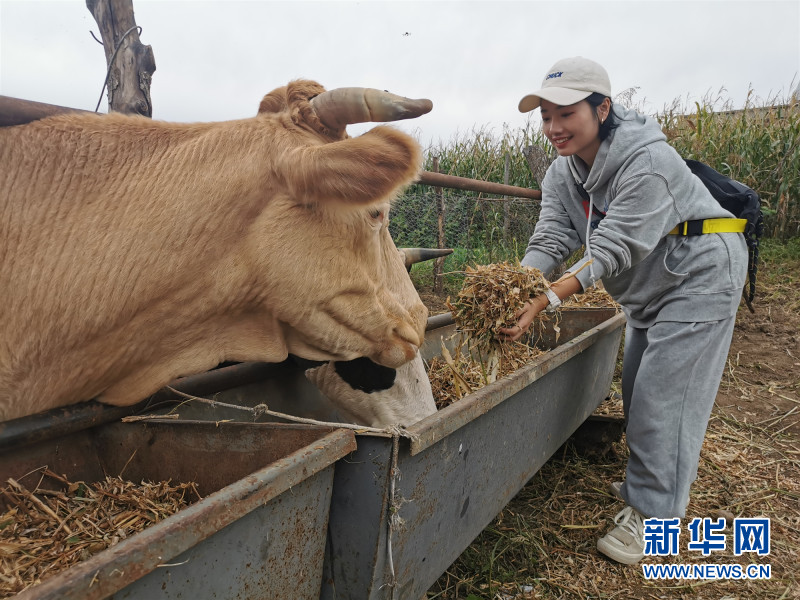 黑龙江逊克：赏北红玛瑙奇珍异石品俄罗斯民族风情- 中国日报网