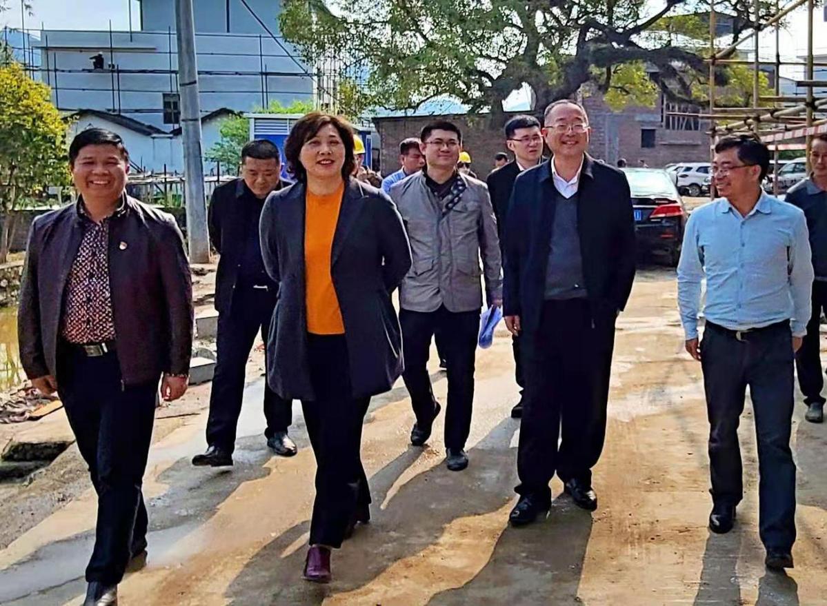 图为:春节期间,桂林市副市长赵奇玲深入临桂区六塘镇指导乡村风貌提升