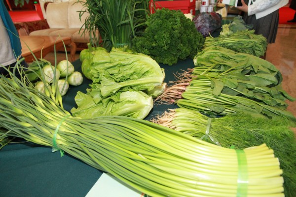 conew_淡季不淡、周年供应、优质安全、高原品质是云南蔬菜的主要特点