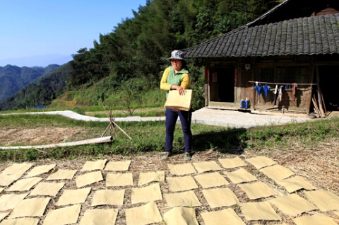 邓秀珍在自家铺好稻草的梯田里，把一叠叠潮湿的草纸有序地铺开晾晒。