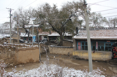 初冬的阳方村有点萧条。