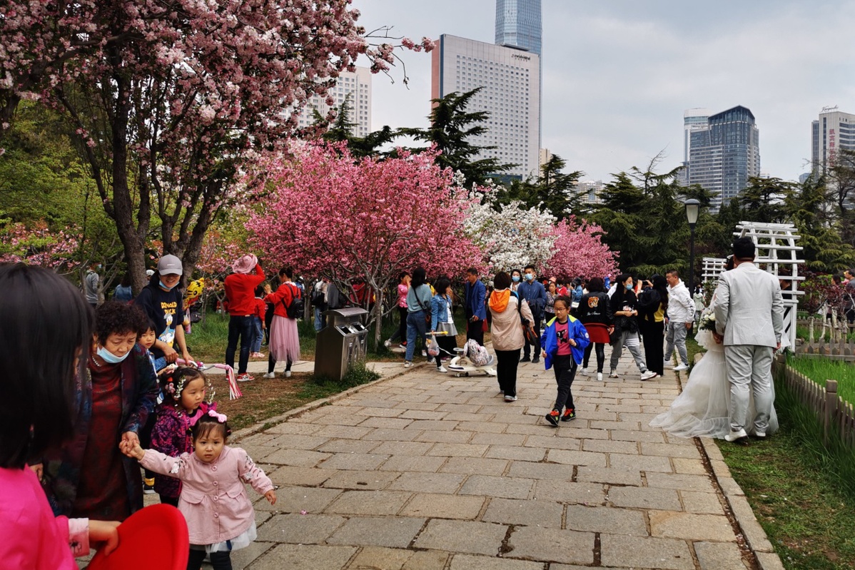 大连市文旅局:春天已至,在大连等您来