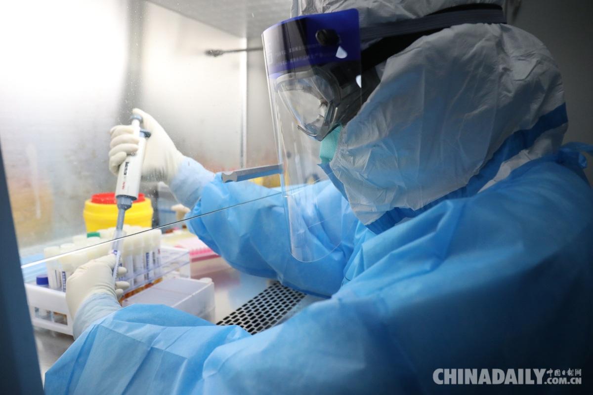 核酸检测员在生物安全柜内进行核酸提取(代雨朦 摄(中国日报湖北