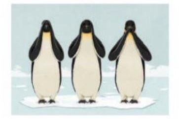 联合国气候变化大会机制仍然至关重要