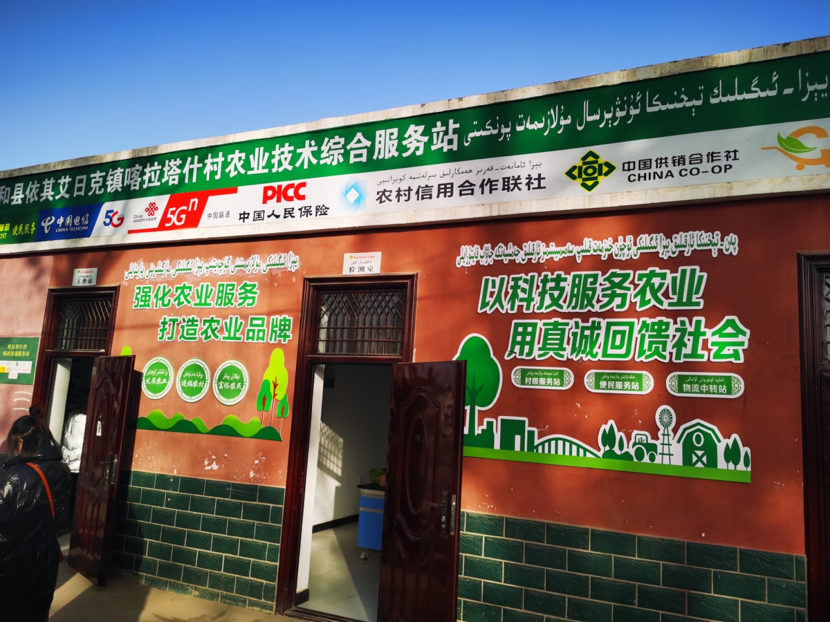 网站建设合作社 ex.chinadaily.com.cn
