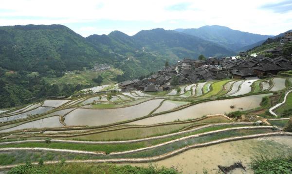 贵州从江加榜梯田开园迎客