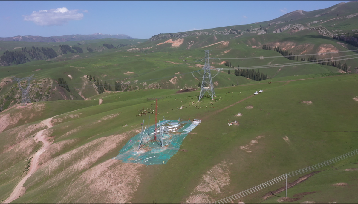 新疆750千伏超高压电网建立为雪岭云杉让路