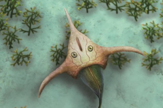 中科院团队30年接力研究 完整呈现4.1亿年前玉海翼角鱼全貌