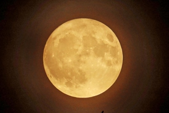 今年首次“超级月亮”亮相天宇