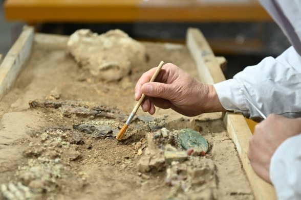 马家塬西戎墓葬群发掘转入室内考古阶段