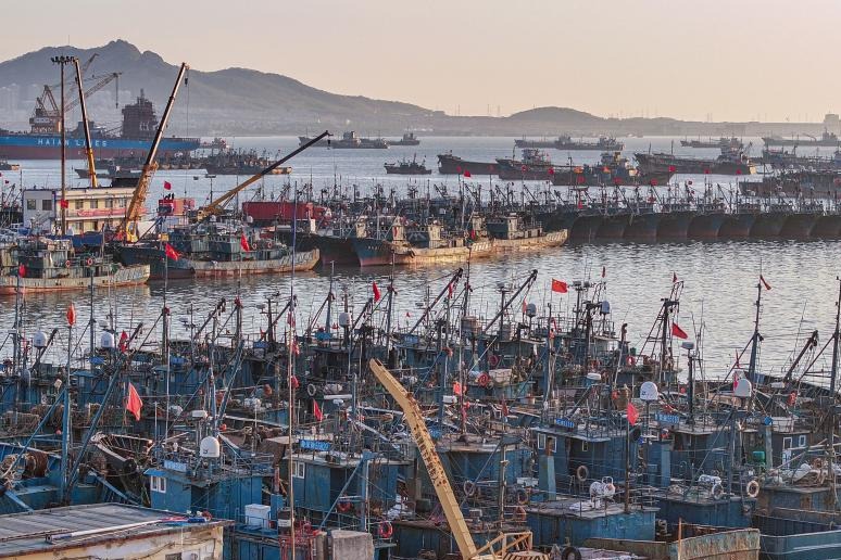 中国黄渤海区进入伏季休渔期
