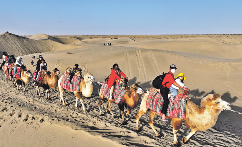 新疆麦盖提县沙漠探险乐无量任事升级暖融融