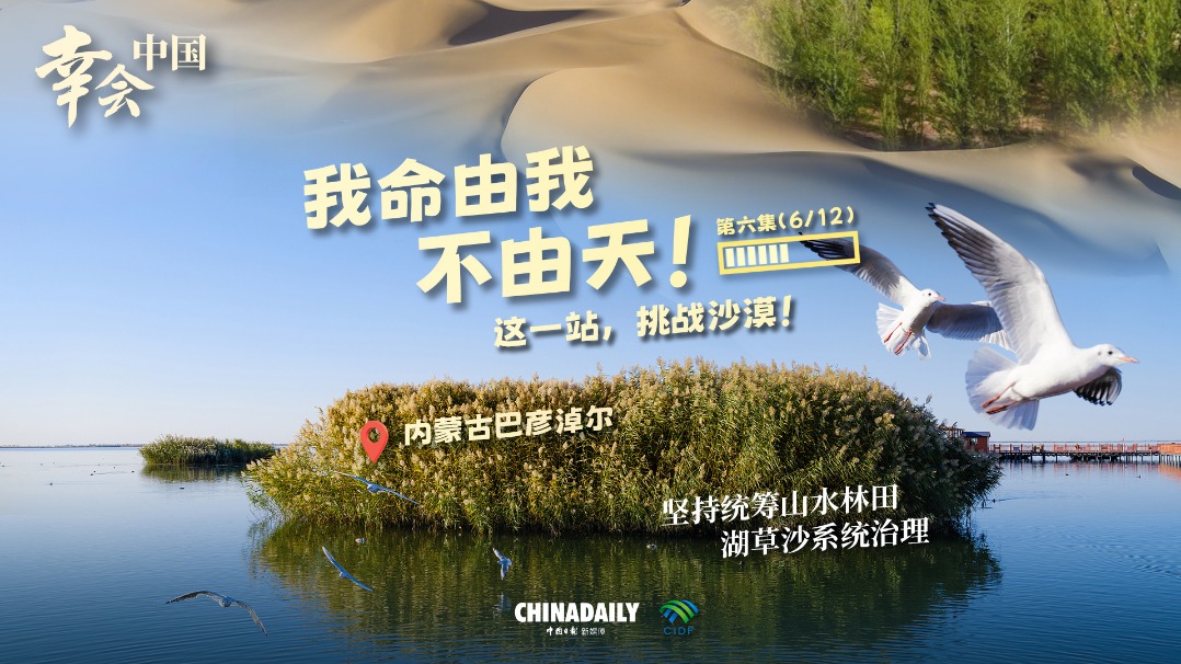 幸会中国 | 荒漠变林海，三北工程绘出生态奇迹