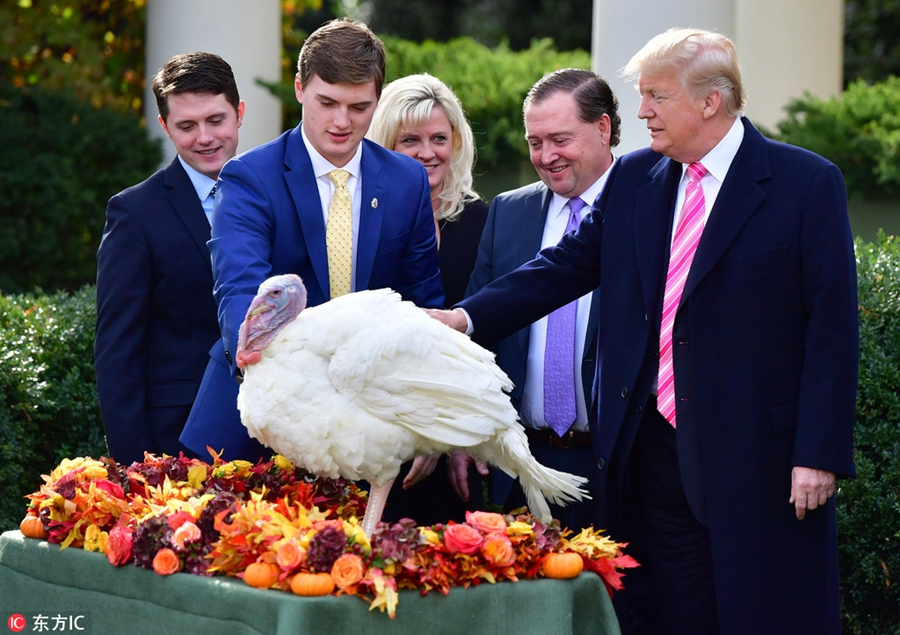 特朗普任内首次赦免火鸡