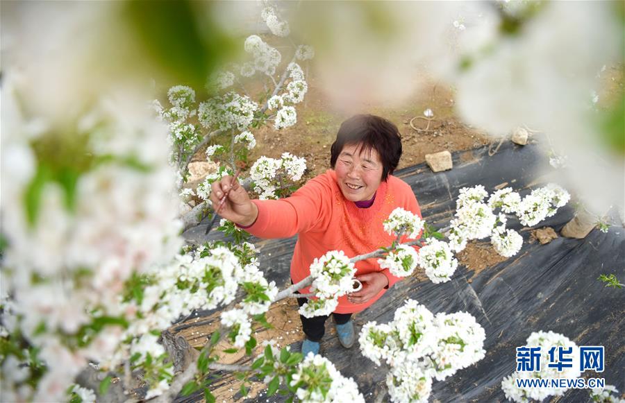 #（经济）（7）早春时节农事忙