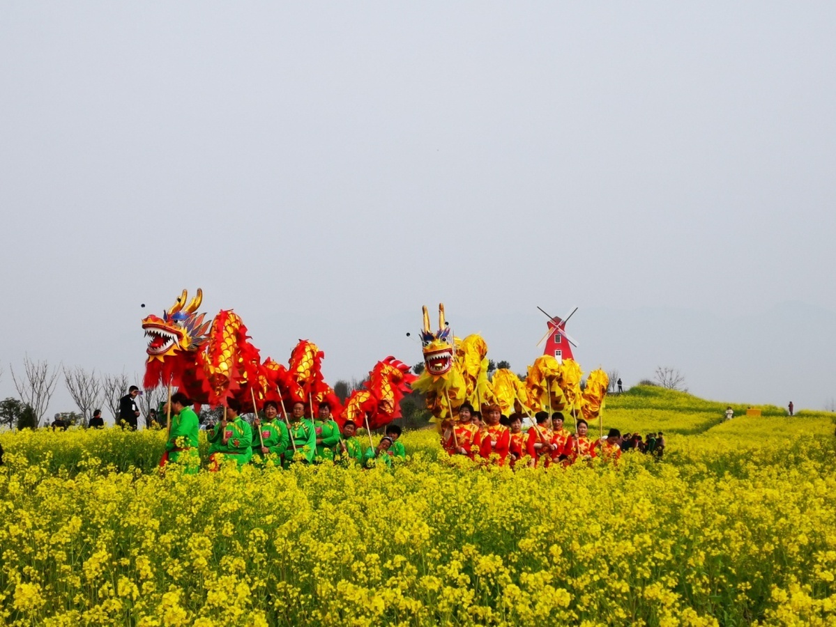 2015汉中油菜花节图片