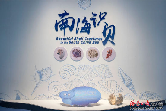 中国(海南)南海博物馆为迎接博鳌亚洲论坛2019年年会开启四大全新展览，多角度展示南海文化。海南日报记者 宋国强 摄